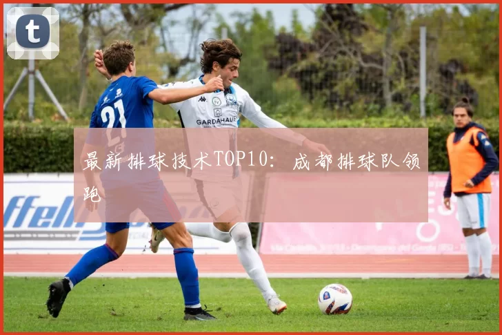 最新排球技术TOP10：成都排球队领跑